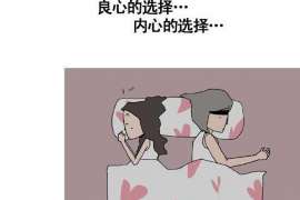 婚姻调查取证